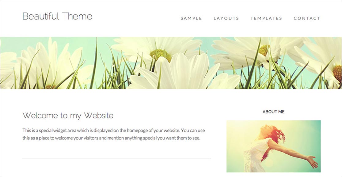 Beautiful Theme meilleurs thèmes wordpress réactifs