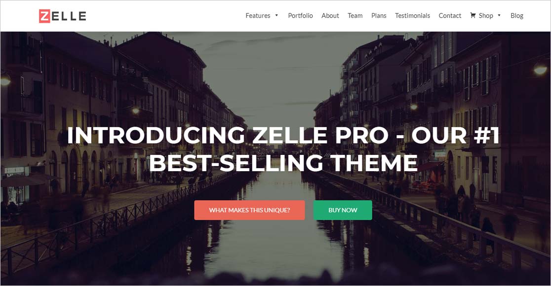 Zelle Pro