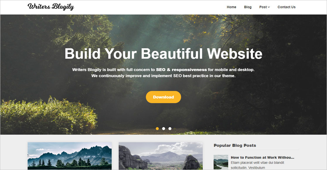 beste WordPress-Themes für Autoren Writers Blogily