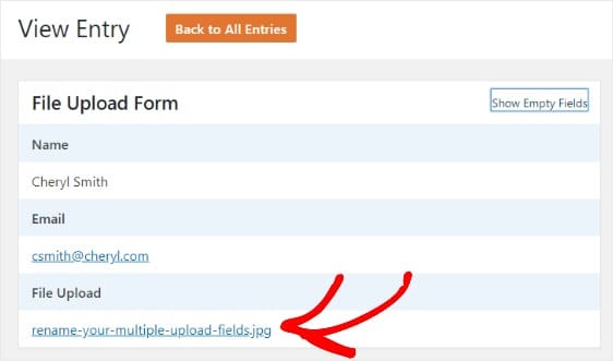 lihat entri unggah file di wpforms