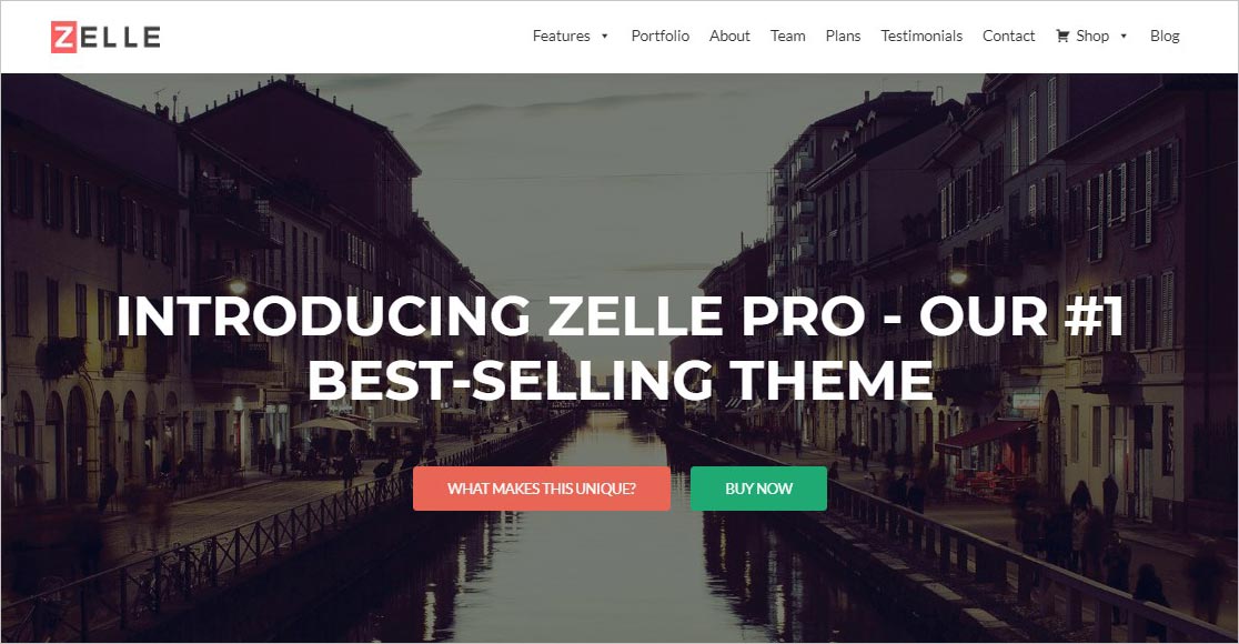 Zelle Pro