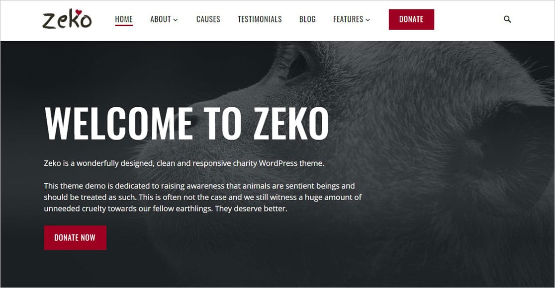 Tema di beneficenza Zeko WordPress