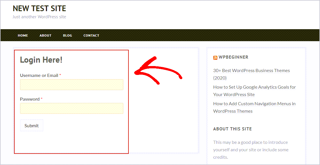 Anteprima modulo di accesso