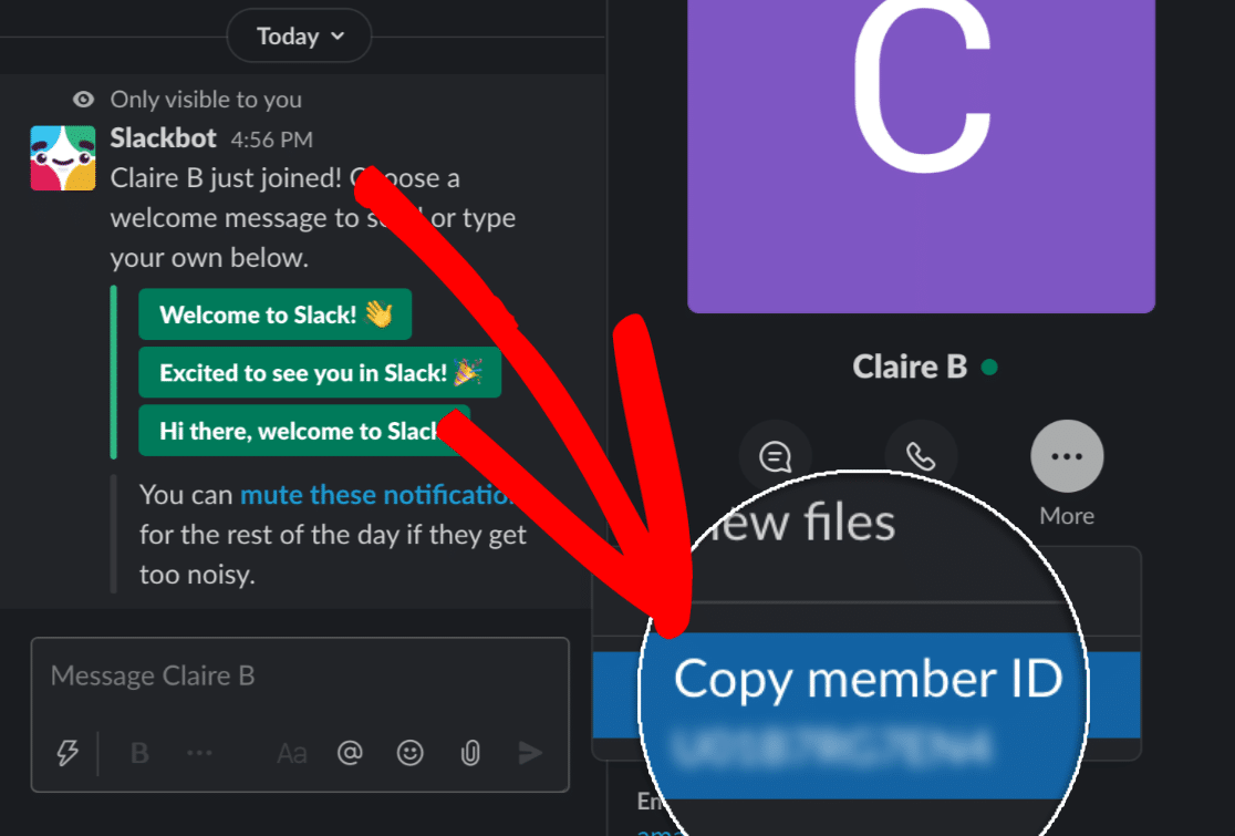 Überprüfe die Mitglieds-ID in Slack