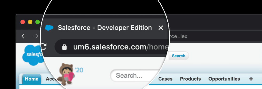 Edizione di Salesforce nella scheda del browser