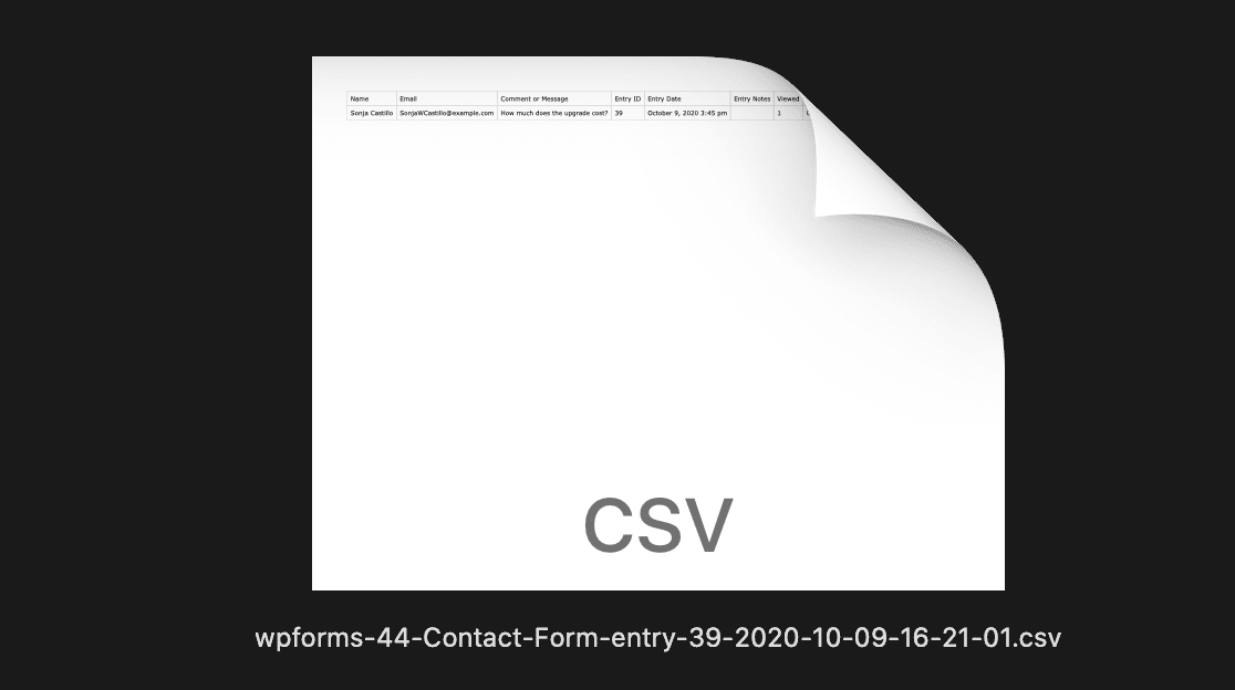 Exporter une entrée de formulaire individuel au format CSV à partir de WordPress