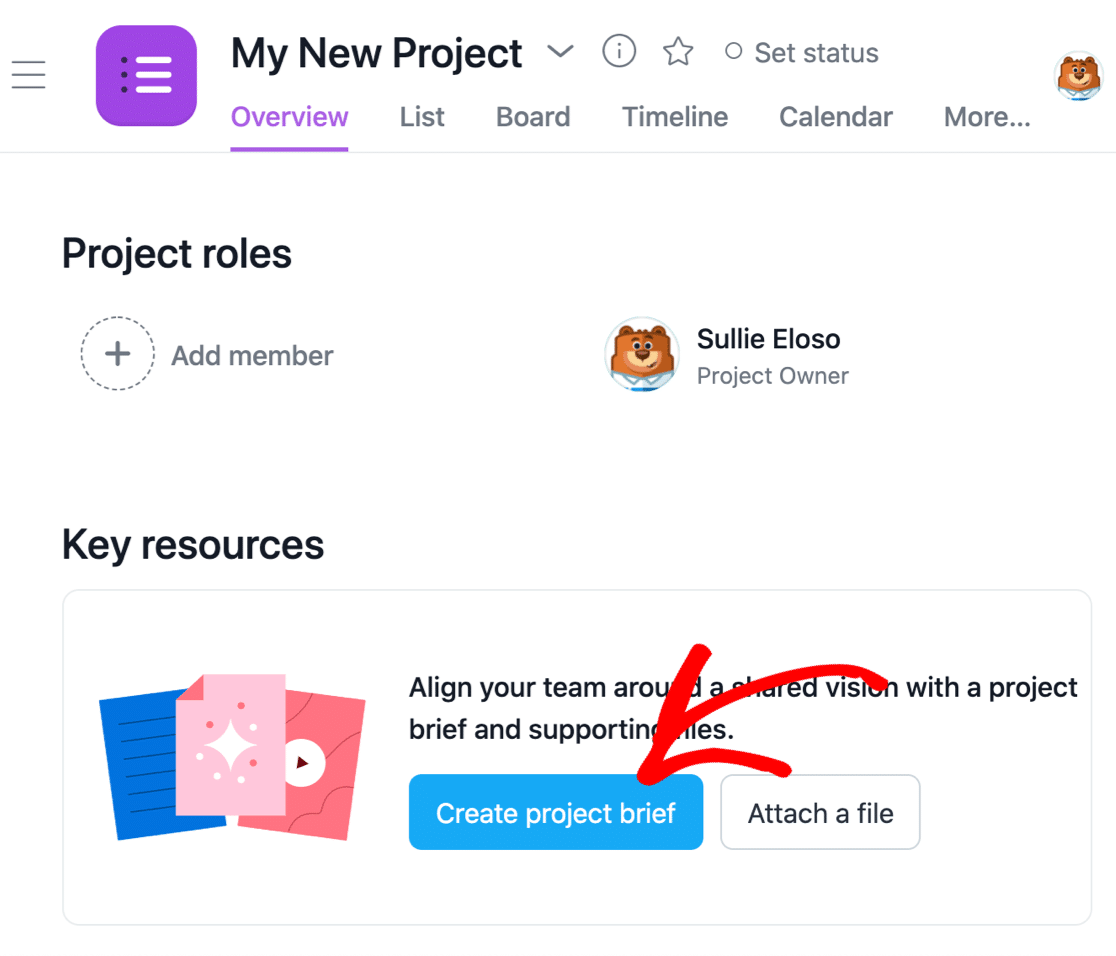 Crear un resumen del proyecto de Asana