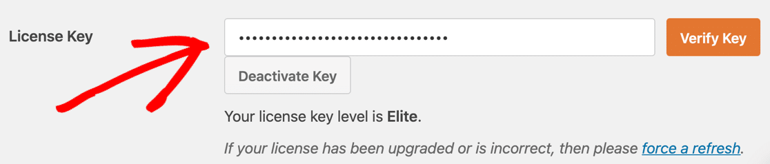 Verifique a chave de licença WPForms