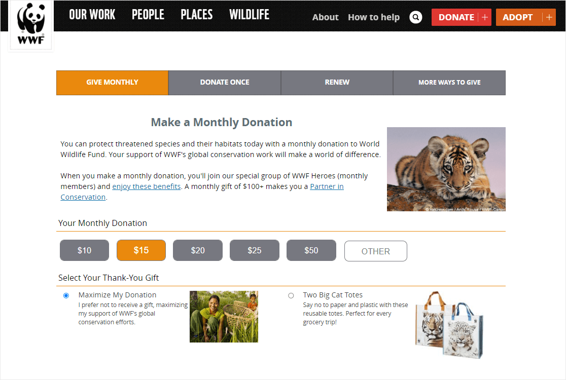 esempio di pagina di donazione wwf