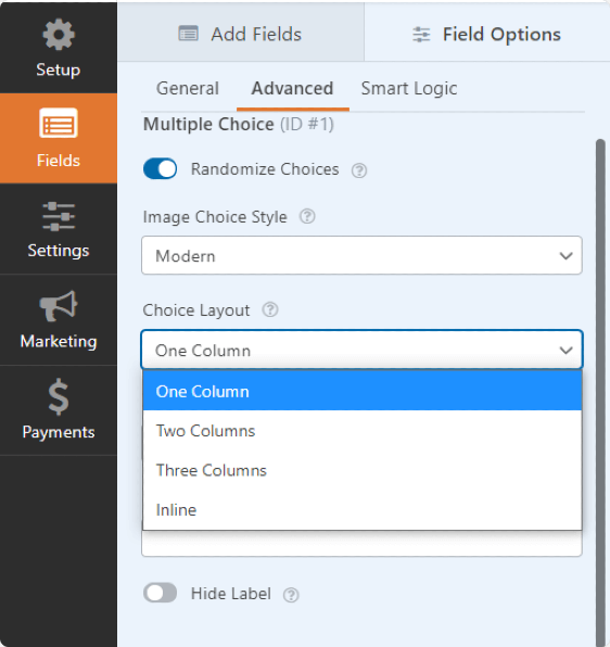 Advanced-form-fields-options