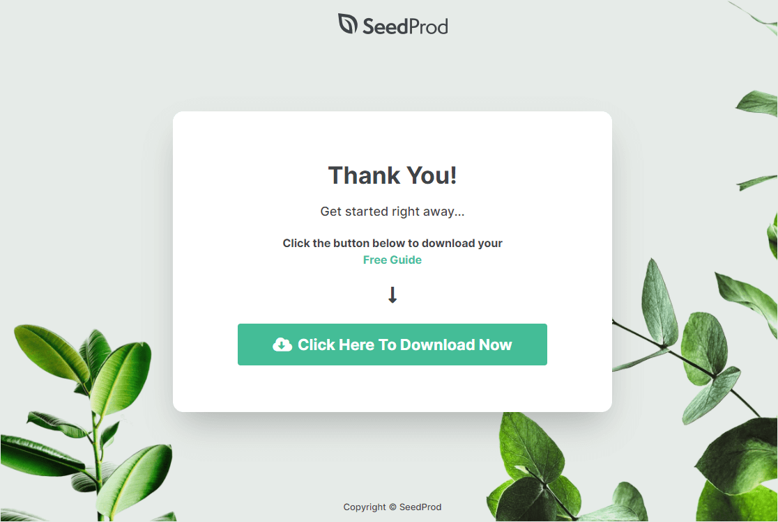 Seedprod 中的感谢页面示例