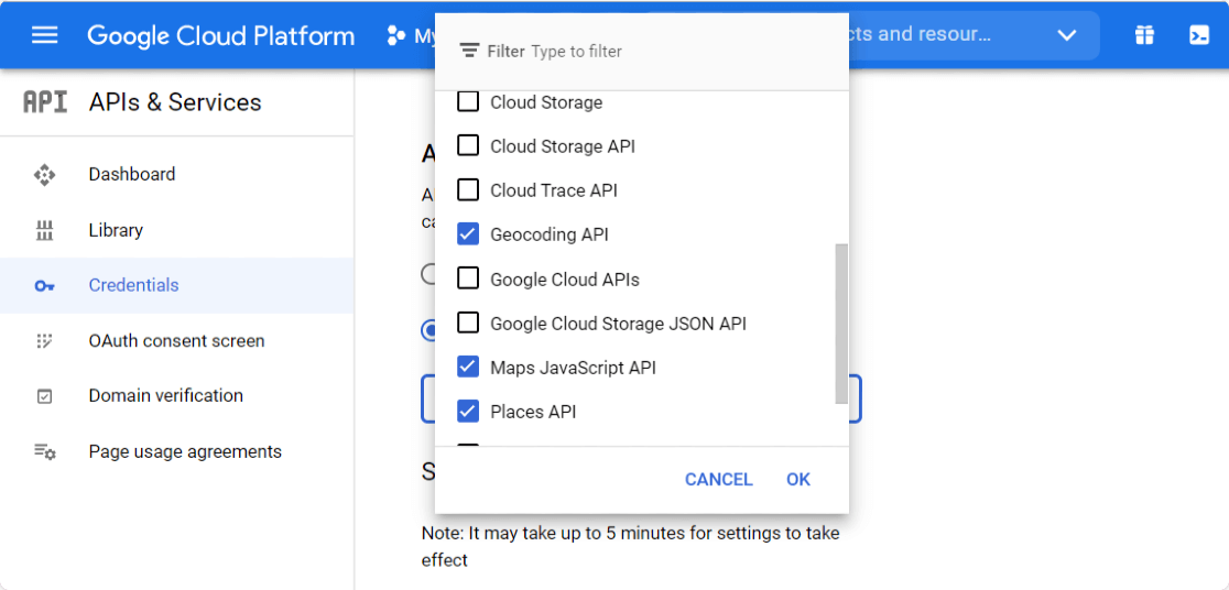 Google API 선택